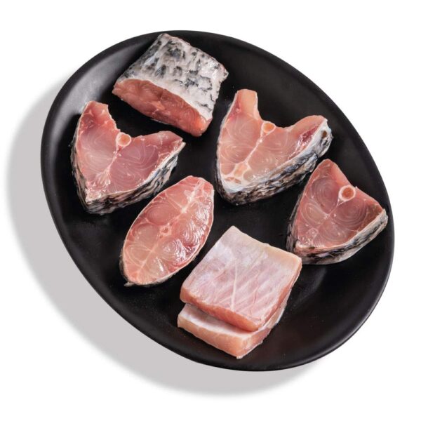 KATLA CUT -Medium Size