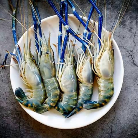 Scampi / Galda Prawn (150-200Gm size/Pc) - Large Size