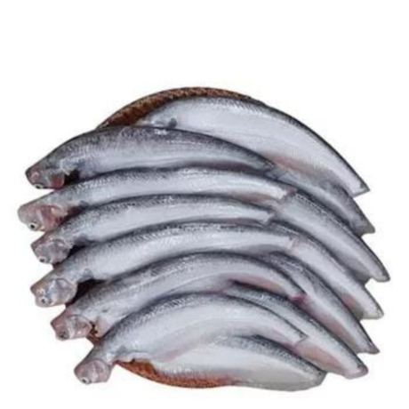 Pabda Fish (40-70gm) _ Small size