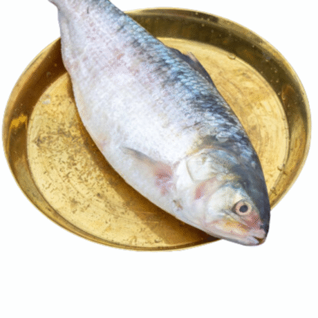 Diamond Hilsa/Ilish Fish (1 Kg) size