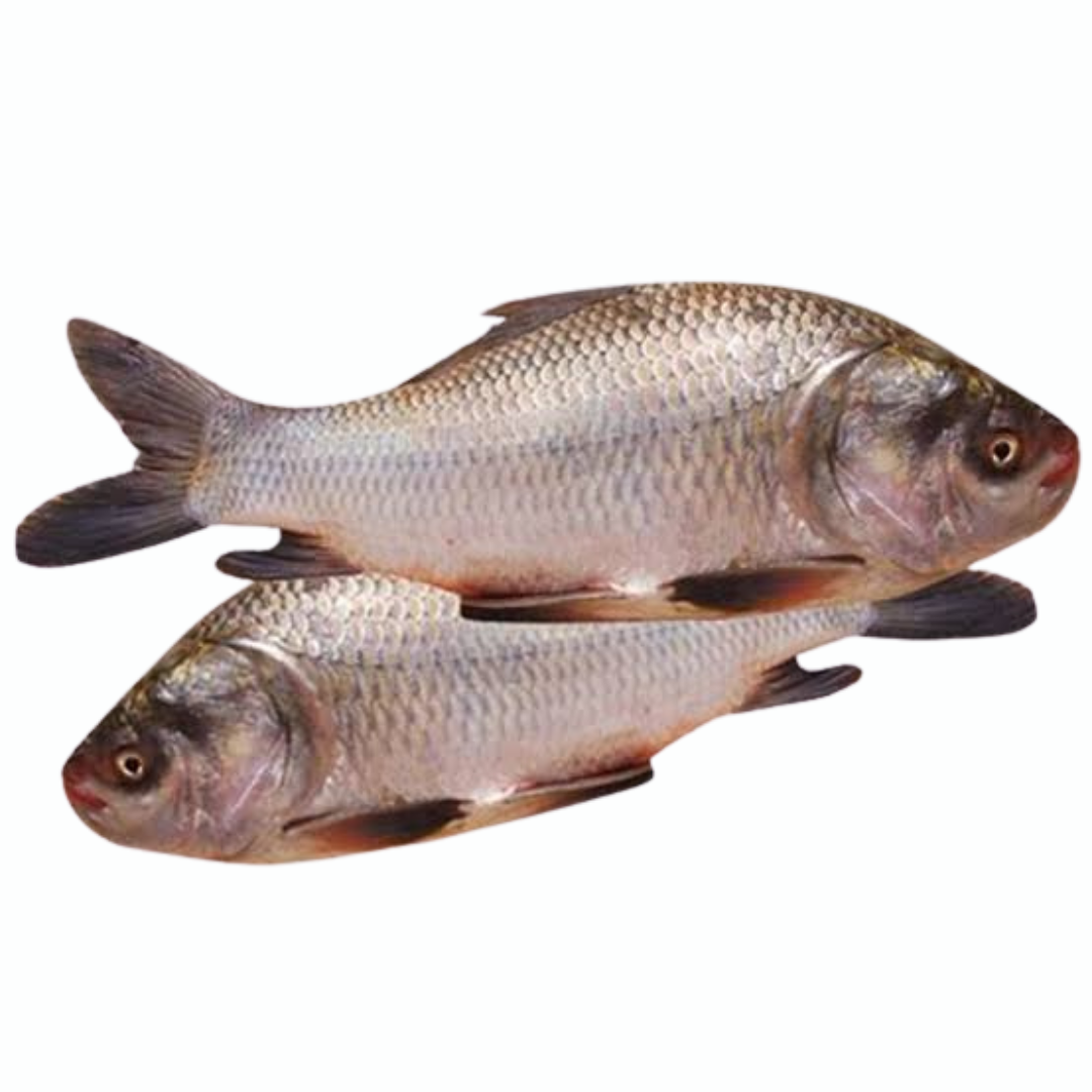 DESI KATLA size (> 2KG Size Whole cut)