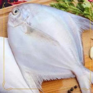 Jumbo Pomfret Fish (150Gm-250Gm/Pc)