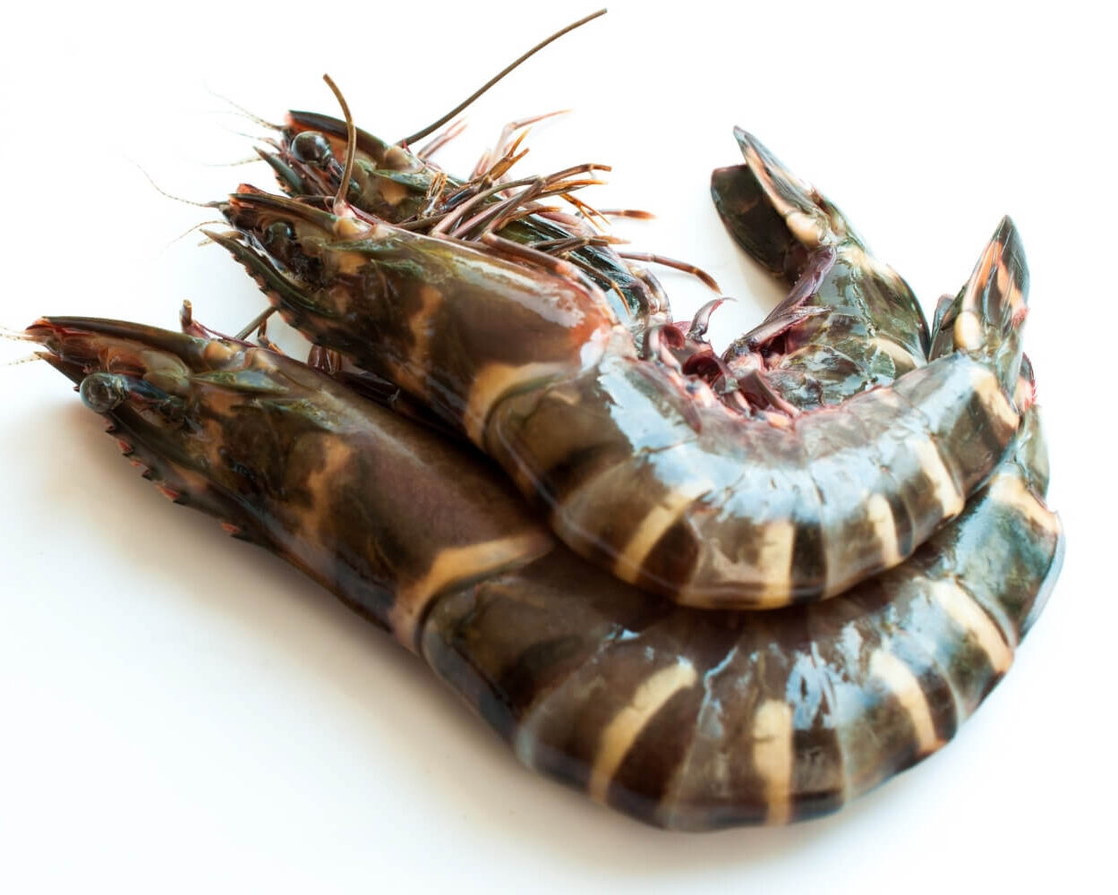 Tiger Prawns- Medium Size(20-30/Pc)