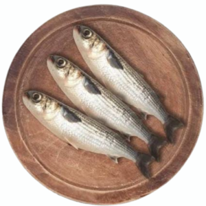 Bhamon Fish