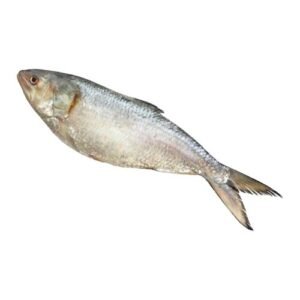 Hilsa (1Kg)