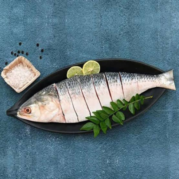 Hilsa/Ilish Fish (400-550 gms)
