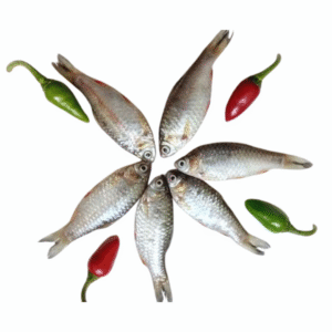 Puti Fish